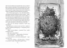Бабайка. Туутіккі Толонен (Укр) Школа (9789664296639) (468459)