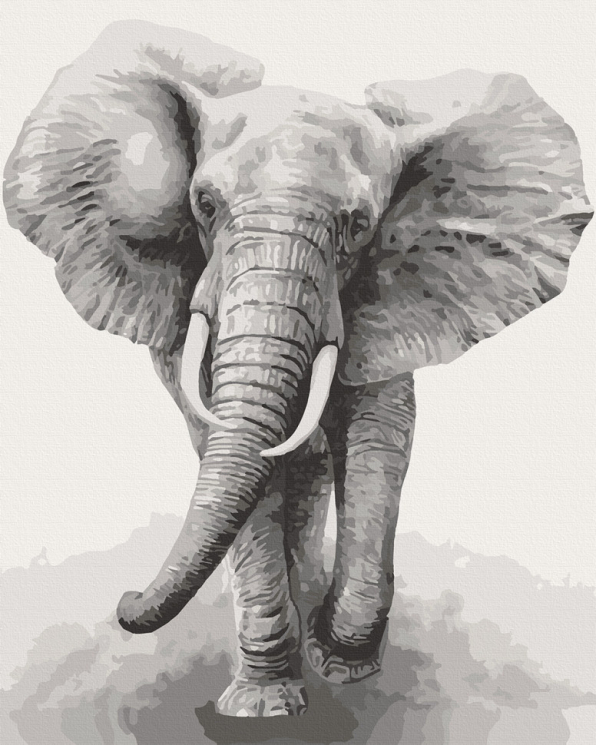 Картина за номерами "Африканський слон" 40*50 см 11629-AC ArtCraft