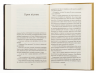 Вокзал Перпіньяна – Олексій Геращенко (Укр) Віхола (9786178517601) (562804)