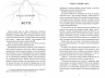 Спільнота бездушних дівчат – Лора Стівен (Укр) Артбукс (9786175233092) (558704)