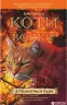 Здіймається буря. Коти-вояки. Пророцтва починаються. Книга 4. Ерін Гантер (Укр) АССА (9786177312931) (287307)