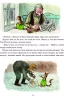 Різдвяний гном. Нордквіст Свен (Укр) Богдан (9789661030212) (509523)
