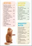 Я люблю котиків (Укр) Зірка 144028 (9786176342083) (473635)