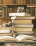 Едісон. Таємниця зниклого мишачого скарбу. Торбен Кульман (Укр) ВСЛ (9789664482490) (510763)