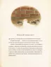 Едісон. Таємниця зниклого мишачого скарбу. Торбен Кульман (Укр) ВСЛ (9789664482490) (510763)