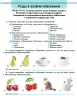 Інформатика 6 клас. Робочий зошит. Ривкінд Й.Я. (Укр) Генеза (9789661113526) (517190)
