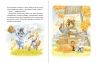 Дивовижні пригоди в лісовій школі : Загадковий Яшка. Книга 5 – Всеволод  Нестайко
