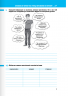 НУШ Українська мова 7 клас. Зошит. Частина 2 (з 2-х частин) – Онатій А., Ткачук Т. (Укр) Літера (9789669454898) (523805)