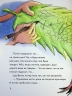 Вулканоси висиджують скарби. Вулканоси. Книга 4 – Франциска Ґем