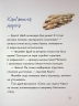 Вулканоси висиджують скарби. Вулканоси. Книга 4 – Франциска Ґем