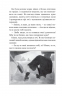 Чудесна мандрівка Нільса Гольгерсона з дикими гусьми. Сельма Лагерлеф (Укр) Богдан (9789661052917) (509605)