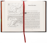 Дракони і змії. Еволюція ворогів Заходу та майбутні загрози – Девід Кілкаллен (Укр) Наш Формат (9786178120122) (545606)