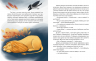 Єнот Ракета та інші герої. Завалій Є., Шевченко М. (Укр) ВСЛ (9789664481868) (514207)