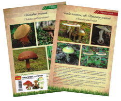 Картки Гриби їстівні та отруйні Навчальний посібник (22 ламіновані картки, А4) Ранок Ц1010072У (2912910000132) (300808)