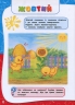 Академія дошкільних наук. Для дітей 2-3 років – Далідович А., Мазаник Т., Гурська О., Цивілько Н. (Укр) АССА (9786177877041) (542309)