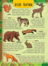 Енциклопедія з наліпками. Лісові тварини та рослини (Укр) Ула (9789662845006) (314109)