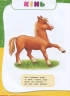 Академія дошкільних наук. Для дітей 1-2 років – Далідович А., Мазаник Т., Цивілько Н. (Укр) АССА (9786177877058) (542310)