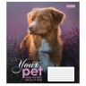 Зошит учнівський 18 аркушів, лінія. Dog loyality. 1 Вересня 765431 (4823092218629) (474411)