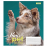 Зошит учнівський 18 аркушів, лінія. Dog loyality. 1 Вересня 765431 (4823092218629) (474411)