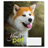 Зошит учнівський 18 аркушів, лінія. Dog loyality. 1 Вересня 765431 (4823092218629) (474411)