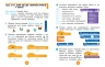 НУШ Інформатика 4 клас. Робочий зошит до підручника Гільберг Т., Суховірського О., Грубіян Л., Тарнавської С. – Оксана Трикоз, Тетяна Стовбун, Варя Ромашева