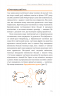 Фізика. Молекулярна будова речовини і теплові явища. Книга 2 – Павло Віктор (Укр) BookChef (9786175481387) (545512)