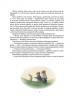 Кроличка Пейслі і конкурс будиночків на дереві – Стів Річардсон (Укр) Час майстрів (9786178253691) (525413)