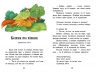 Казки для найменших. Казкова мозаїка – Каспарова Ю.В.