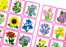 Дидактична гра. Весняні квіти. ЗДО+НУШ (Укр) Ранок 15211017У (4823076146603) (351614)