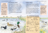 Енциклопедія Стежками природи: Спостерігаємо за птахами (Укр) Ранок С791004У (9786170956422) (343014)