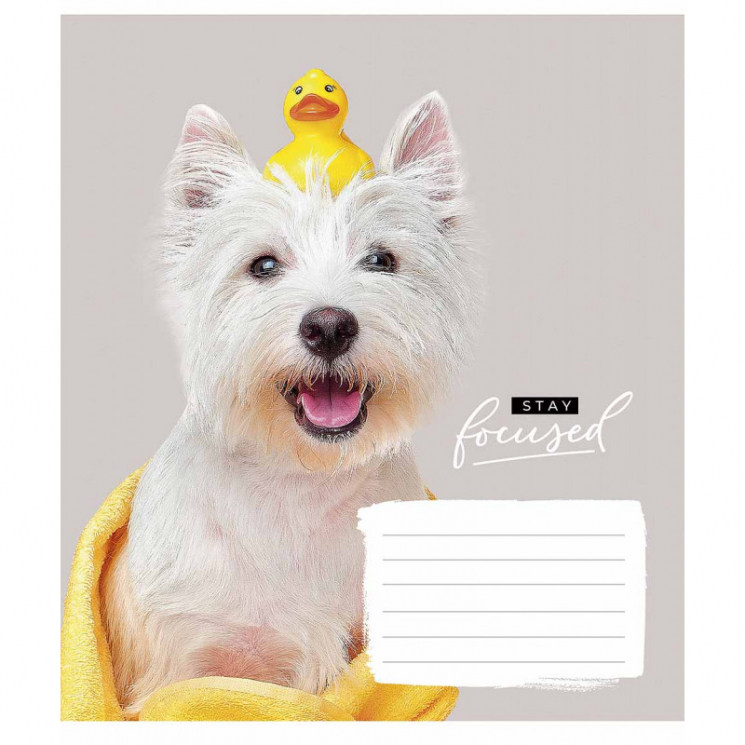 Зошит учнівський 18 аркушів, клітинка. Stay focused. Star 2942K (4820006472085) (474414)