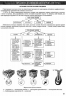 ЗНО Біологія. В таблицях і схемах. Барна І. (Укр) ПІП (9789660737716) (496115)