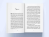 Злодій. Небесний ідол. Книга 1. Задоровський Я. (Укр) Nebo BookLab Publishing (9786177914609) (516115)