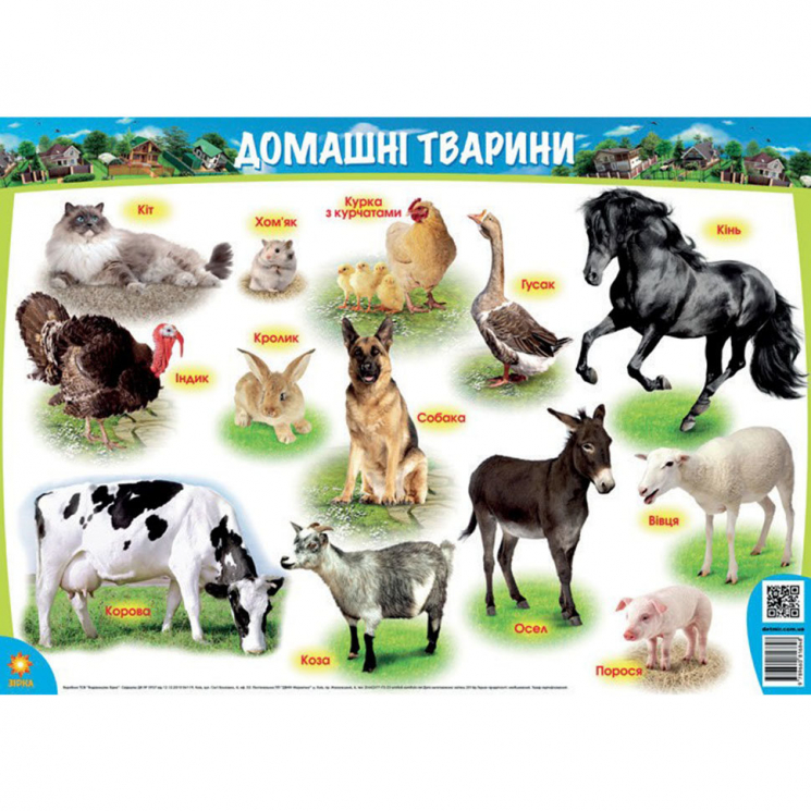 Плакат. Домашні тварини. А1 (Укр) Зірка 86120 (9789660816848) (286816)