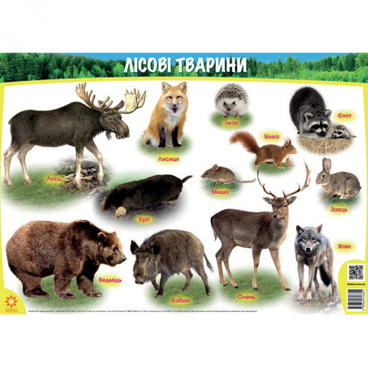 Плакат. Лісові тварини. А1 (Укр) Зірка 86121 (9789660816855) (286817)