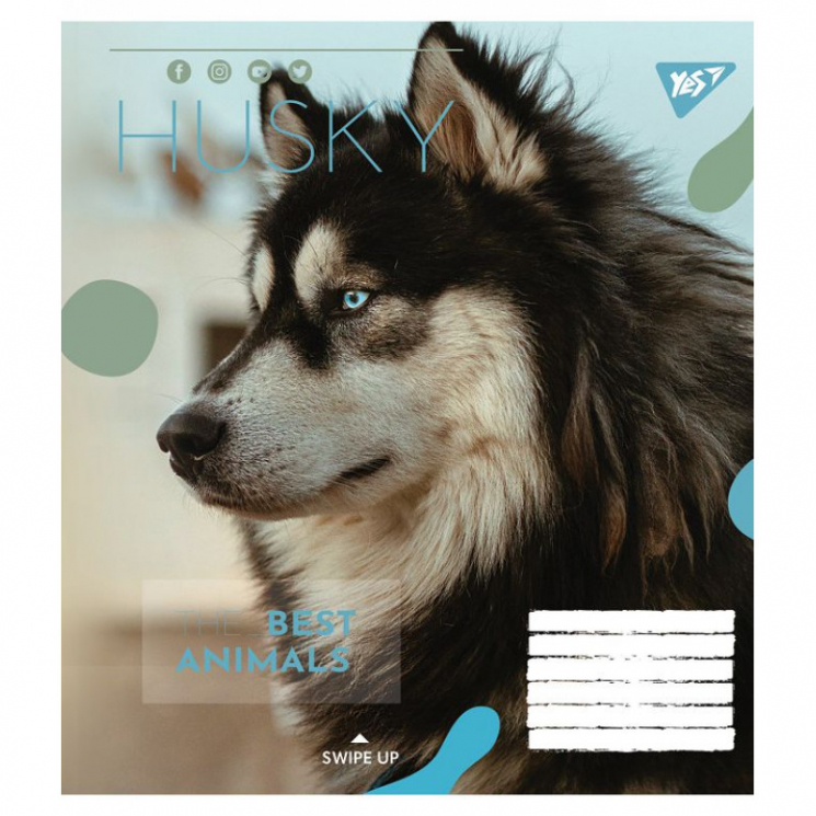 Зошит учнівський 18 аркушів, лінія. Animal. YES 764981 (4823092260246) (474418)