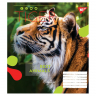 Зошит учнівський 18 аркушів, лінія. Animal. YES 764981 (4823092260246) (474418)