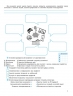 НУШ Підприємництво і фінансова грамотність 8 клас. Зошит для формувального та підсумкового оцінювання – Юхимович Ю. (Укр) Генеза (9786178370749) (556318)