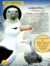 Енциклопедія Світ навколо нас. Дикі тварини (Укр) Кристал Бук (9789669369420) (312019)