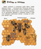 Енциклопедія комахи. Ранок (Рос) С614013Р (9786170937285) (274519)
