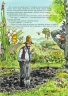 Петсон, Фіндус і переполох на городі. Свен Нордквіст (Укр) Богдан (9789664084502) (509519)