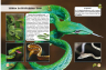 Енциклопедія Світ навколо нас. Змії (Укр) Кристал Бук (9789669368935) (312021)