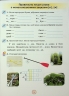 НУШ Українська мова 3 клас. Застосовуй знання. Робочий зошит – Пономарьова К. (Укр) Оріон (9789669913937) (555022)