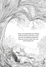 Шепіт лісу. Дівчинка на імія Віллоу. Книга 2 – Забіне Больман