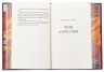 Незгасний вогонь. Елементалі Кадансу. Книга 2 – Ребекка Росс (Укр) РМ (9786178426002) (558124)