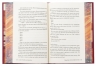 Незгасний вогонь. Елементалі Кадансу. Книга 2 – Ребекка Росс (Укр) РМ (9786178426002) (558124)