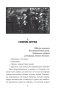 Інеса Путс. Панянка-детектив з Проскурова. Таємниця святого Флоріана. Книга 2. Підгірна Л. (Укр) Фоліо (9786175516164) (515525)