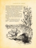 Алісині пригоди у Дивокраї (з ілюстраціями Артура Рекхема). Льюїс Керрол (Укр) Богдан (9789661048125) (509426)