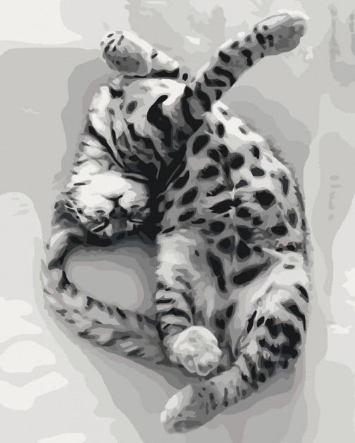 Картина за номерами "Солодкий сон" 40х50 см Ідейка (4823104303756) (430027)