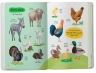 Тварини. 150 перших слів – Катерина Столяренко (Укр/Анг) Кристал Бук (9786175475553) (559027)